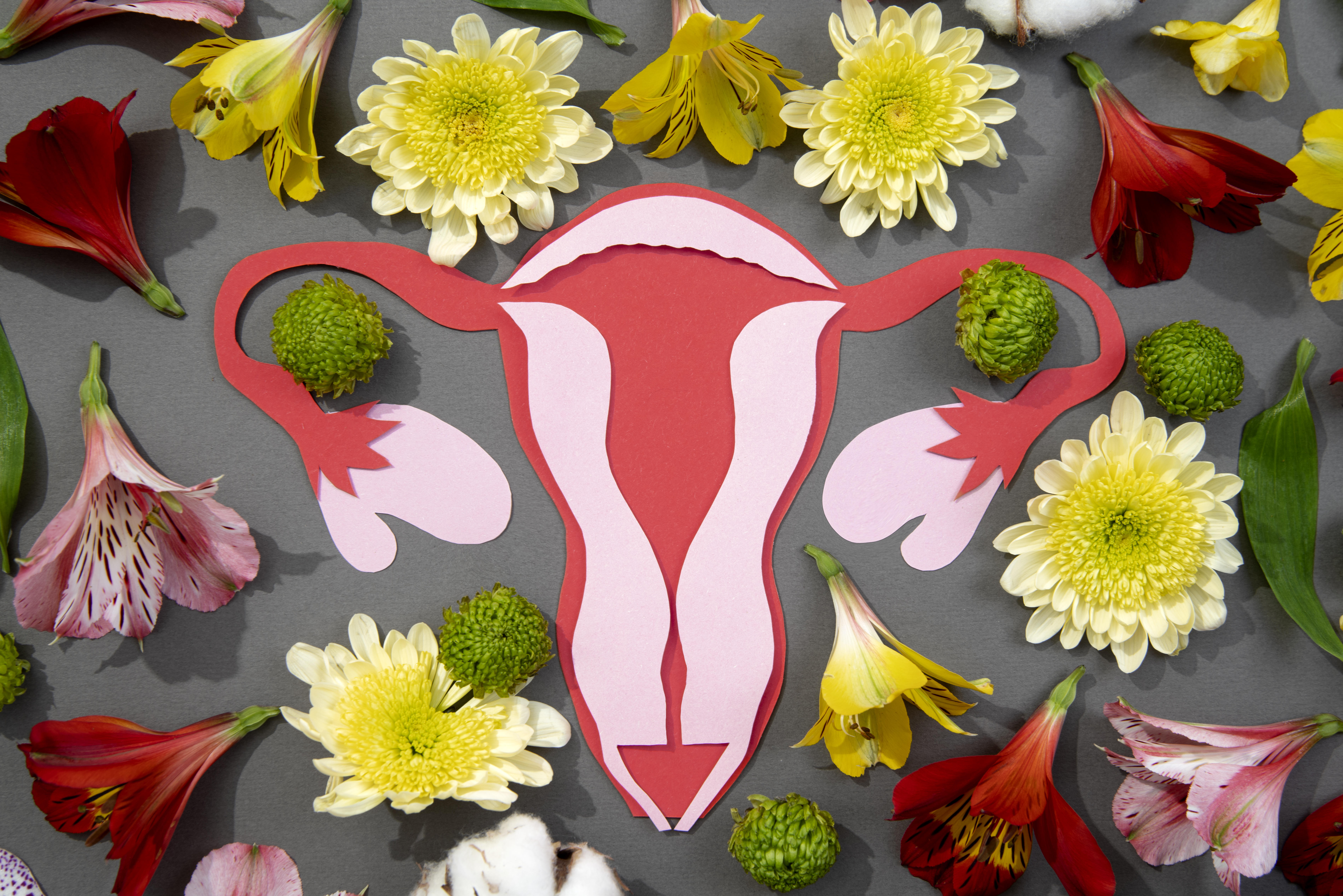 Gynecological Endocrine Disorders